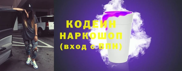 соль ск Арсеньев