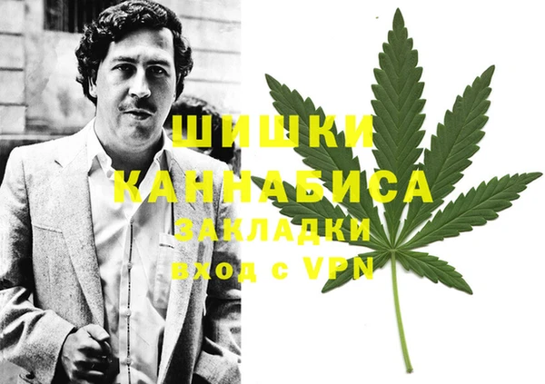 эйфоретик Алексин