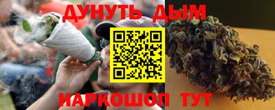 СК Дубна