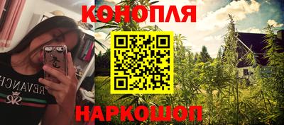 СК Дубна