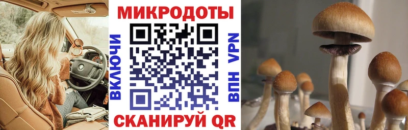 darknet какой сайт  Нарткала  Галлюциногенные грибы Magic Shrooms 