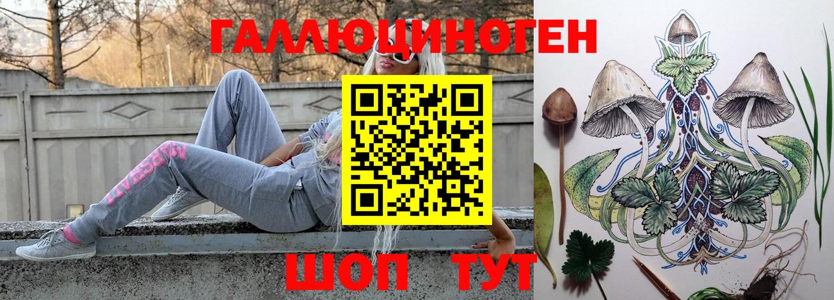 Галлюциногенные грибы GOLDEN TEACHER  Галлюциногенные грибы Psilocybe  Вход с VPN  Нарткала 