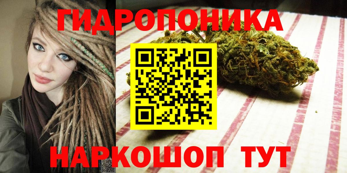 Бошки Шишки план Нарткала